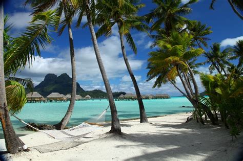 17 best images about beach hammocks oh yeah on pinterest on the beach tahiti and fiji