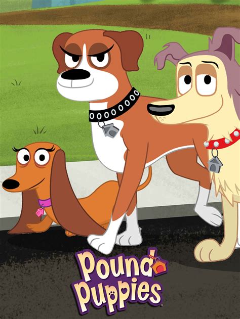 watch pound puppies online season 3 2013 tv guide