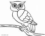 Owl Coloring Pages Cool2bkids Printable Kids sketch template