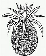 Pineapple Careersplay sketch template