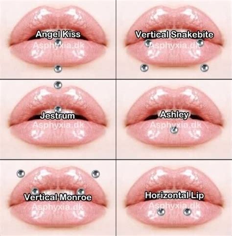 lip piercing types zac63 agbc