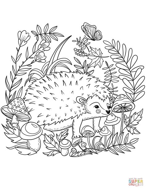 hedgehog coloring page  printable coloring pages