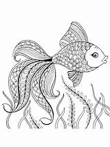 Coloring Pages Fish Zentangle Adults Adult Color Printable Bright Teens Colors Favorite Choose sketch template