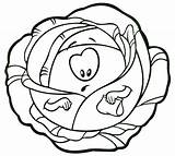 Cabbage Coloring Pages Color Kids Print Template sketch template