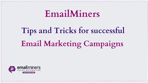 tips  tricks  successful email marketing campaigns emailminers