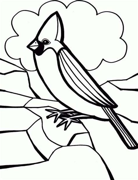pin  cardinal bird coloring pages