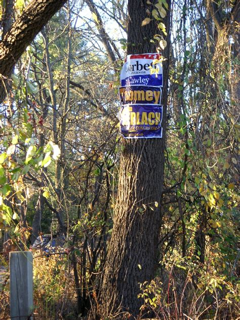 open land conservancy board member troubled  republican political signs  trees