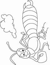 Coloring Pages Cloud Line Earwig Shines Under Choose Board sketch template
