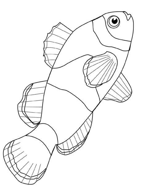printable fish coloring pages  kids fish coloring page fish