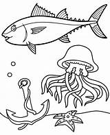 Kolorowanka Tuna Topcoloringpages Meduza Jellyfish Dzieci Druku Kolorowanki sketch template