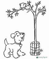 Coloring Arbor Dog Tree Pages sketch template