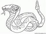 Coloring Snake Pages Printable Color Popular sketch template