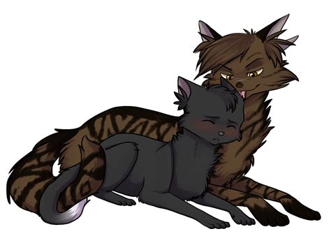 Image Tigerclaw X Ravenpaw By Ninetail Fox D5med91 Png