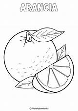 Arancia Frutta Invernale Disegno Schede Pianetabambini Didattiche Stampare Invernali Frutti Infanzia Agrumi Kiwi Ricamo Asilo Pera Mela Ispirazione Libretto Schizzi sketch template