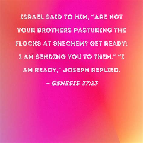 genesis  israel       brothers pasturing