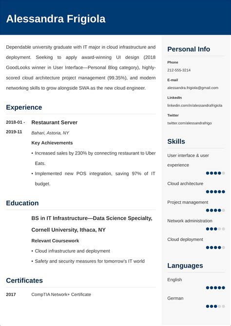 sample resume template  job resume  gallery