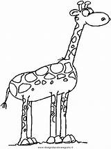 Giraffa Colorare Disegno Giraffen Ausmalen sketch template