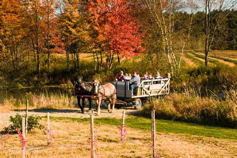 hayrides autumn pinterest