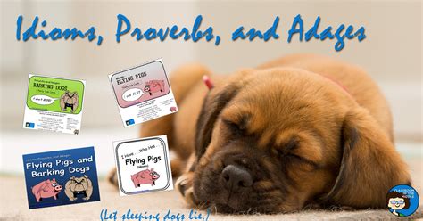 teaching idioms proverbs  adages