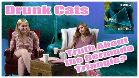 Bermuda Triangle Conspiracy Theories Drunk Cats