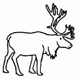 Caribou Coloring Clipartbest Toddlers Pages Designlooter Woodland Clipart sketch template