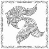 Coloring Ocean Lost Book Johanna Basford Pages Colouring Fish Sheet Adult Books Printable Adults Sheets Visit Choose Board Google sketch template