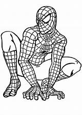 Spiderman Coloring Kids Children Color Pages Simple sketch template