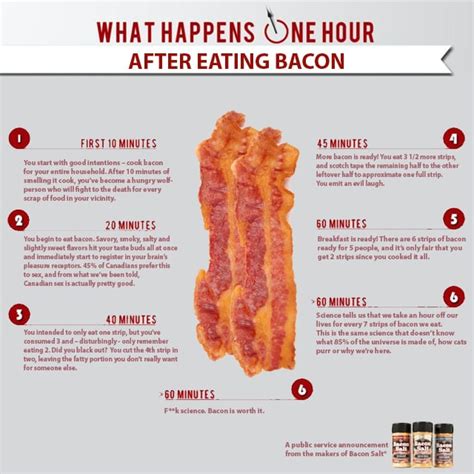 Is Bacon Better Than Sex This Graphic Says Yes