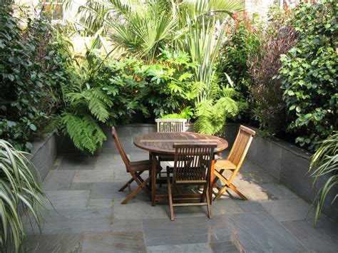 clapham terrace  london gardener