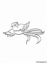 Quetzal Volando Drawing Birds Designlooter 1coloring sketch template