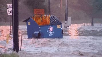 dumpster fire gifs find share  giphy