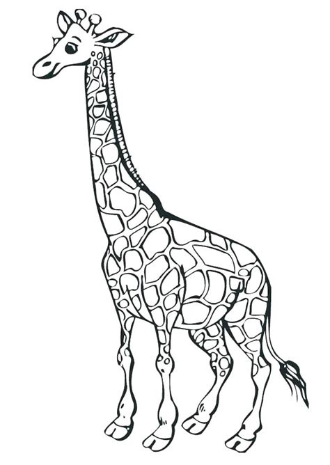 adult giraffe coloring pages  getcoloringscom  printable