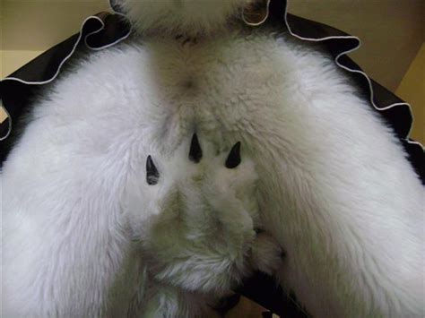 white rear 3 16 07 am fursuits find sorted by