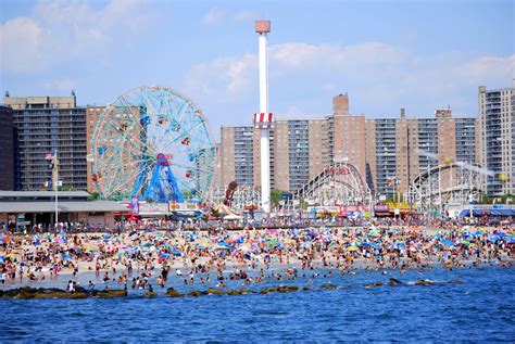 mille fiori favoriti coney island