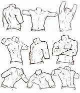 Male Torso Drawing Reference References Body Sketches Artists sketch template