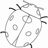 Colorat Buburuza Buburuze Desene Planse Animale Insecte Coloring Imagini Desen Ladybugs Plansa Ladybug Primavara sketch template