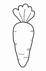 Carrots Bunny Coloringfolder Vegetable Coloringpagesfortoddlers sketch template
