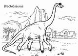 Coloring Brachiosaurus Dinosaur sketch template