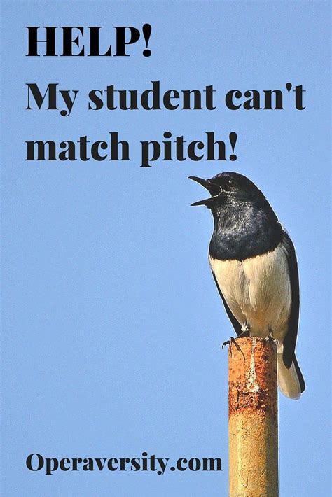 student  match pitch operaversity voice teacher