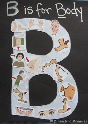 body parts theme activities  preschoolers theme image