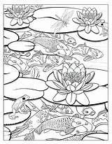 Pages Waterfall Pond Ponds Adult Getcolorings Jinni sketch template