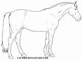 Coloring Oldenburg Pages Horse Horses Lineart Drawing Deviantart sketch template