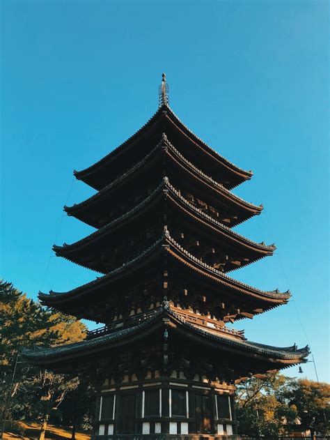 top   beautiful pagodas  japan