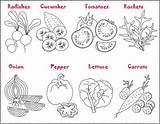 Vegetables Salad Coloring Salade Crafting Pages Legumes Puis Coloriez Spring sketch template