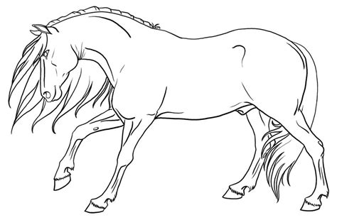 stallion lineart  urilium  deviantart horse art drawing horse