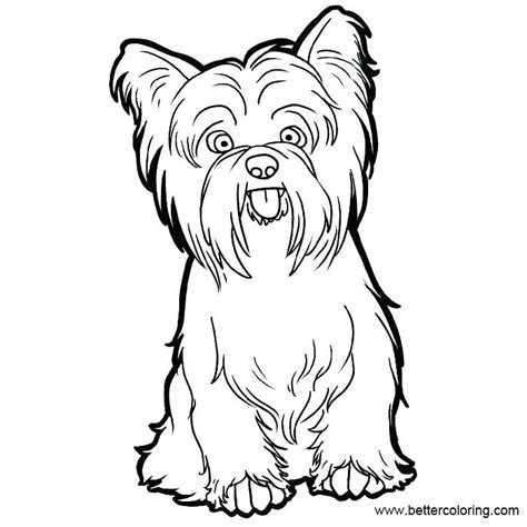yorkie  drawing    clipartmag