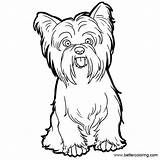 Yorkie Coloring Pages Line Printable Drawing Kids Poo Clipartmag Adults sketch template