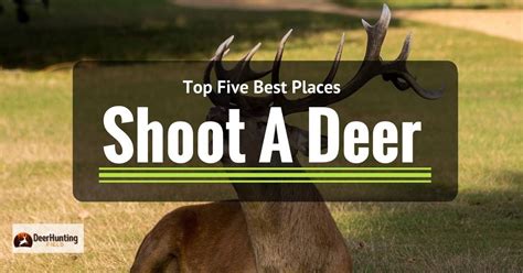 shoot  deer top   places  shoot  deer