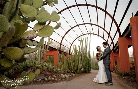 nichole and jj s desert botanical garden wedding laura segall photography arizona