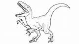 Velociraptor Raptor Indoraptor Dinosaure Choisir Colorier Coloringhome Popular sketch template